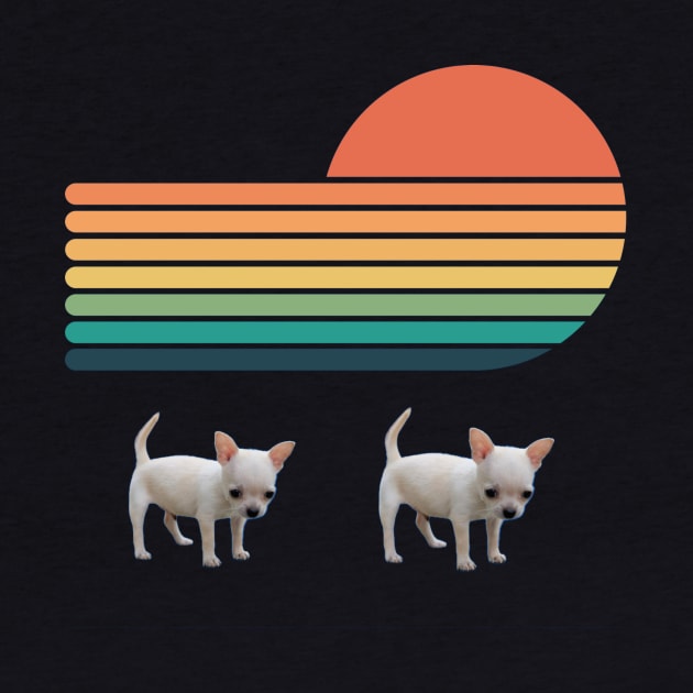 Two tiny chihuahua puppy on sun background by KA&KO